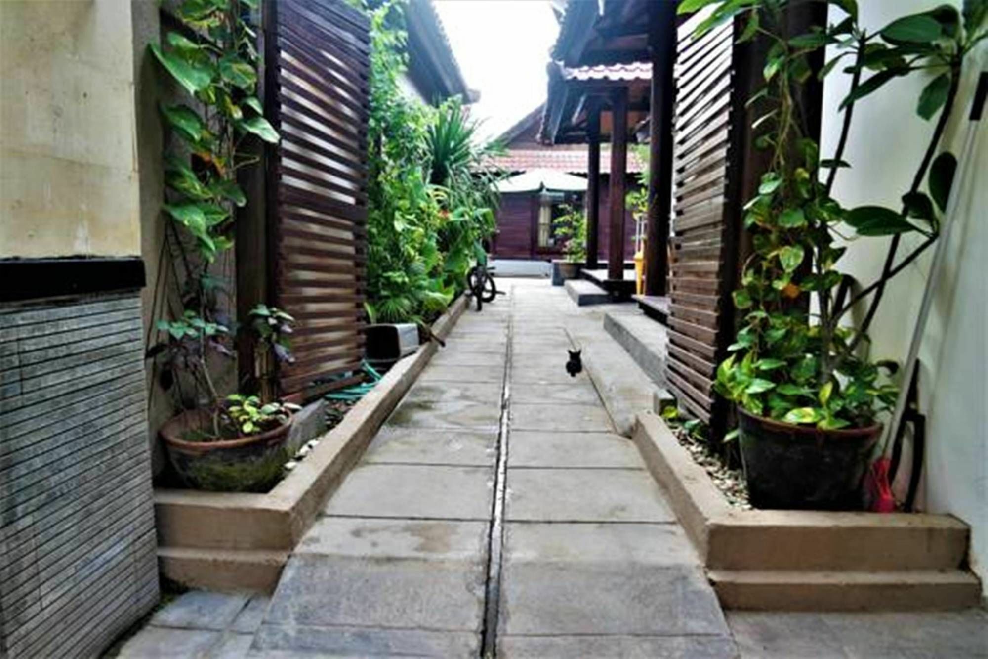 Drupadi Bungalows Gili Trawangan Extérieur photo